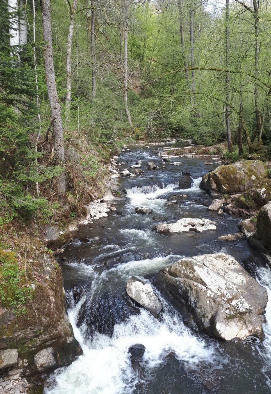 Herberg Die Alte Schleuse Manderscheid Kültér fotó