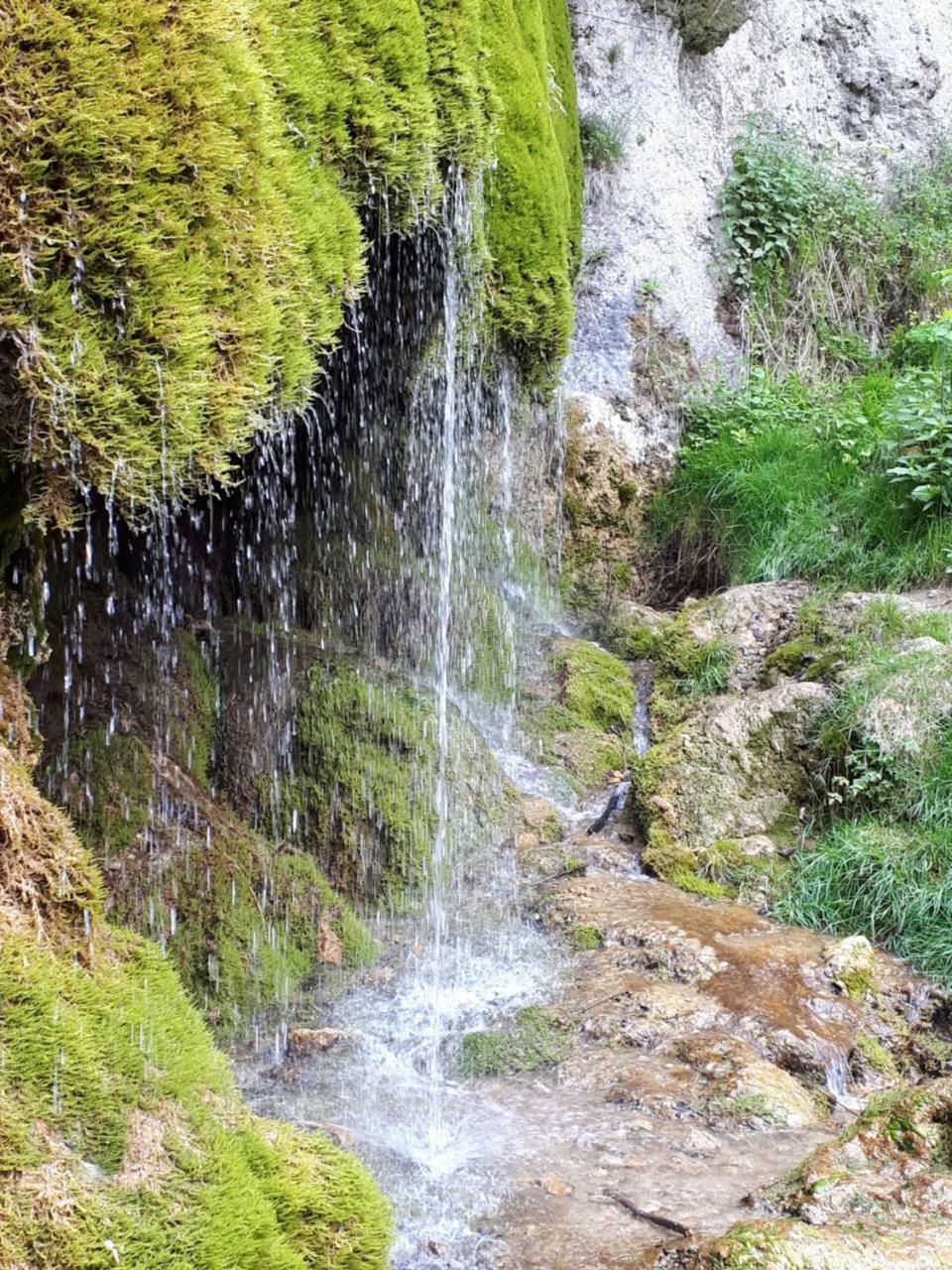 Herberg Die Alte Schleuse Manderscheid Kültér fotó