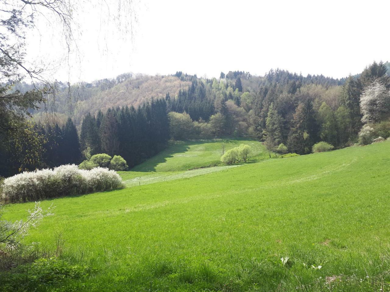 Herberg Die Alte Schleuse Manderscheid Kültér fotó